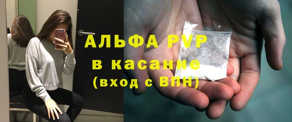 дживик Новозыбков