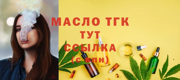 дживик Новозыбков
