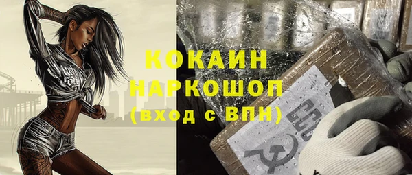 дживик Новозыбков