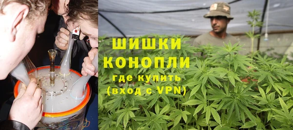 дживик Новозыбков