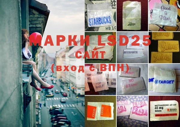дживик Новозыбков