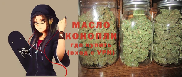 дживик Новозыбков